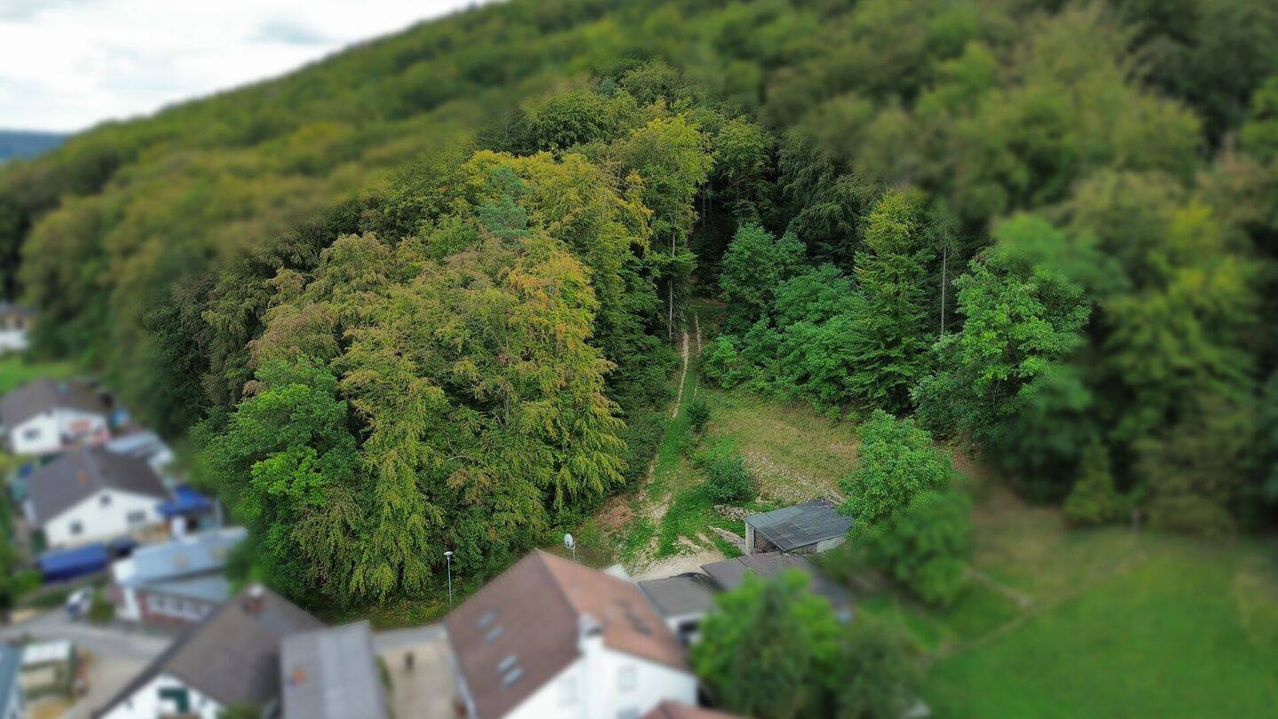 Naturnahes Grundstück mit Waldanteil – ideale Ergänzung zur angrenzenden Wohnimmobilie, 93309 Kelheim