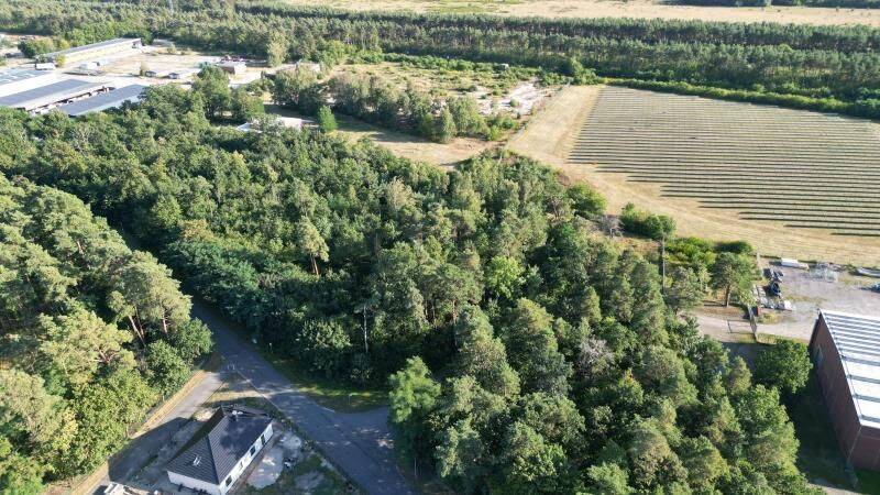 Entwicklungsgrundstücke im HAMMERSTEIN Park, 29392 Wesendorf