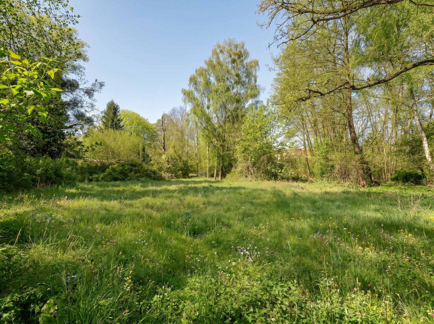 Absolute Rarität – Exklusives Baugrundstück am Dorfplatz Stahnsdorf mit einzigartigem Naturbestand, 14532 Stahnsdorf