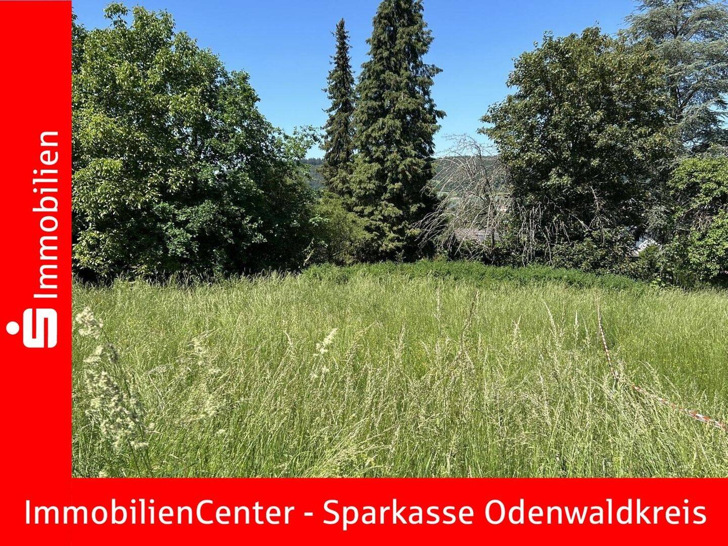 Ruhig und sonnig gelegen. Top-Grundstück in Höchst im Odenwald, 64739 Höchst i. Odw.
