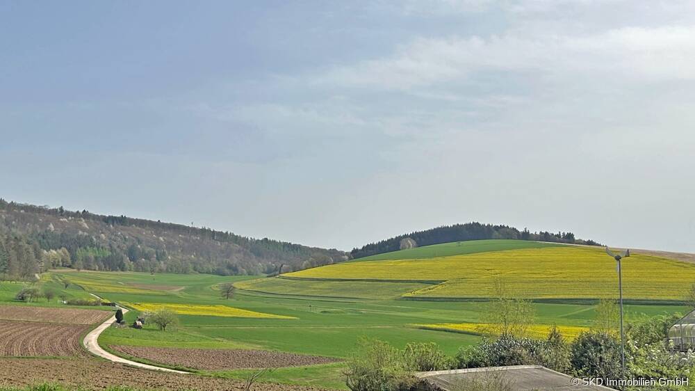 Neunkirchen: Bauplatz in naturnaher Lage!, 74867 Neunkirchen