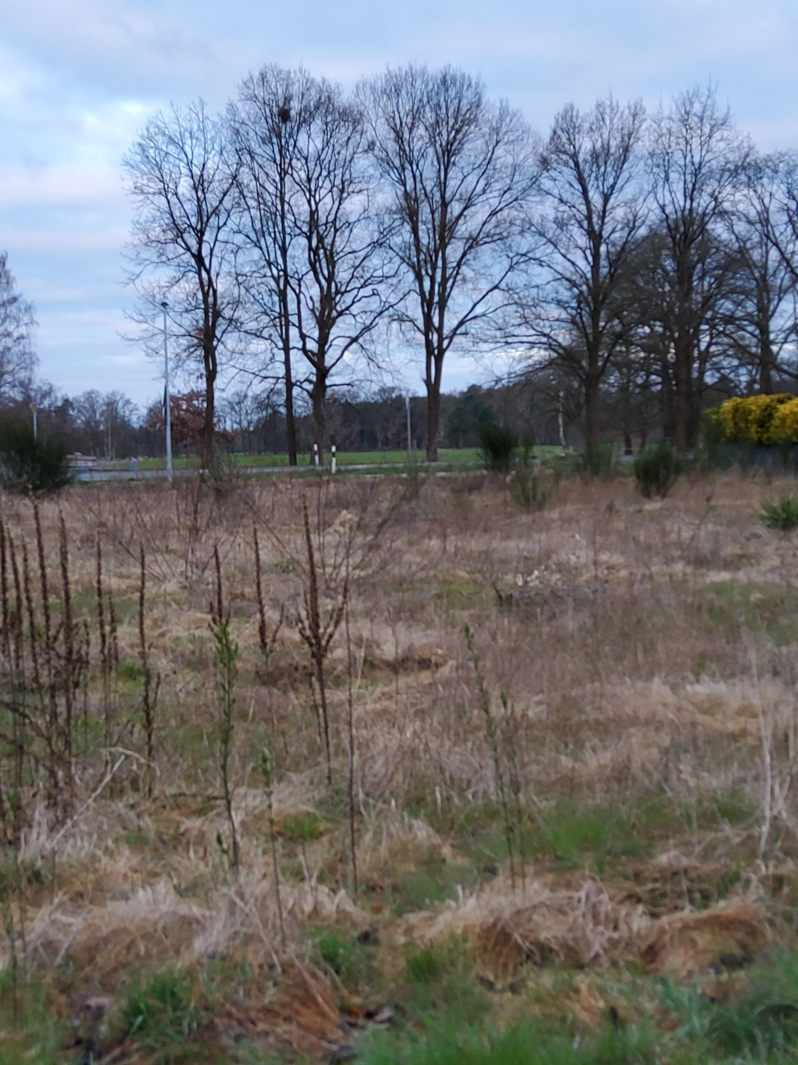 1242 qm Baugrundstück in Nienhagen OT Nienhorst mit Baugenehmigung für 1 DH mit jeweils 120qm Wohnfläche – alternativ fertig gebaut 1 oder 2 Hälften, 29336 Nienhagen