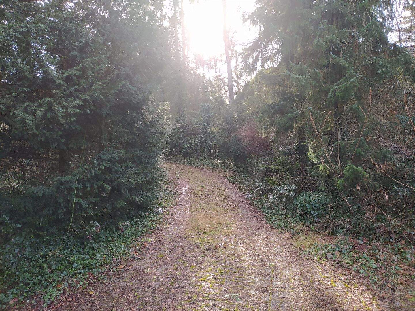 Bissendorf-Wietze einmalig attraktive Lage, 30900 Wedemark