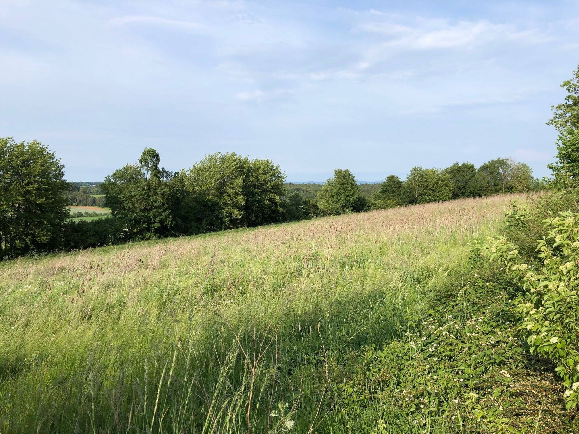 Wohnen „AM REHBERG“ mit Blick auf den Arber, 93176 Beratzhausen