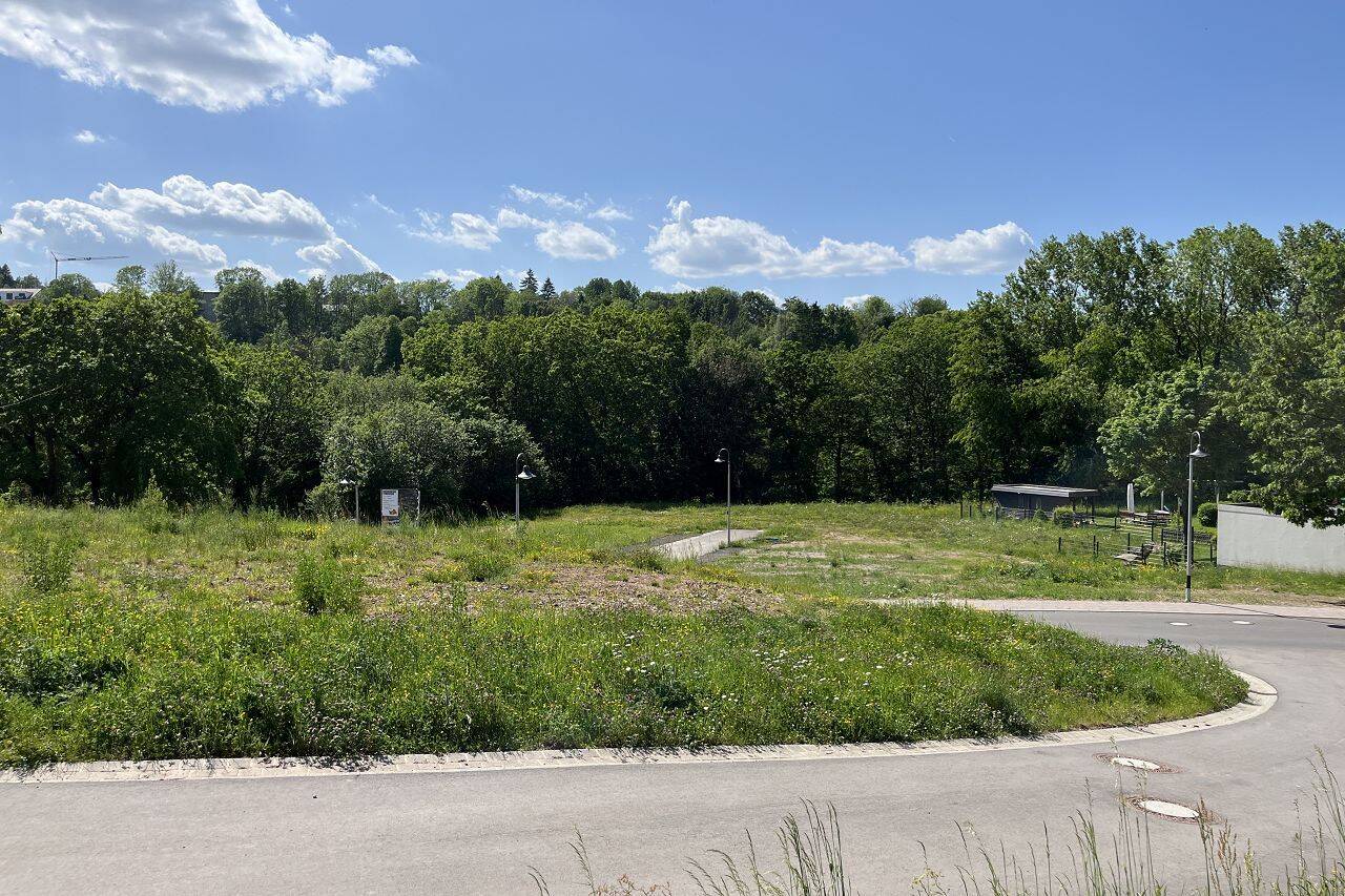 Neues Wohn- und Baugebiet in der Waldstadt Prüm, „Am Tettenbach“, 54595 Prüm