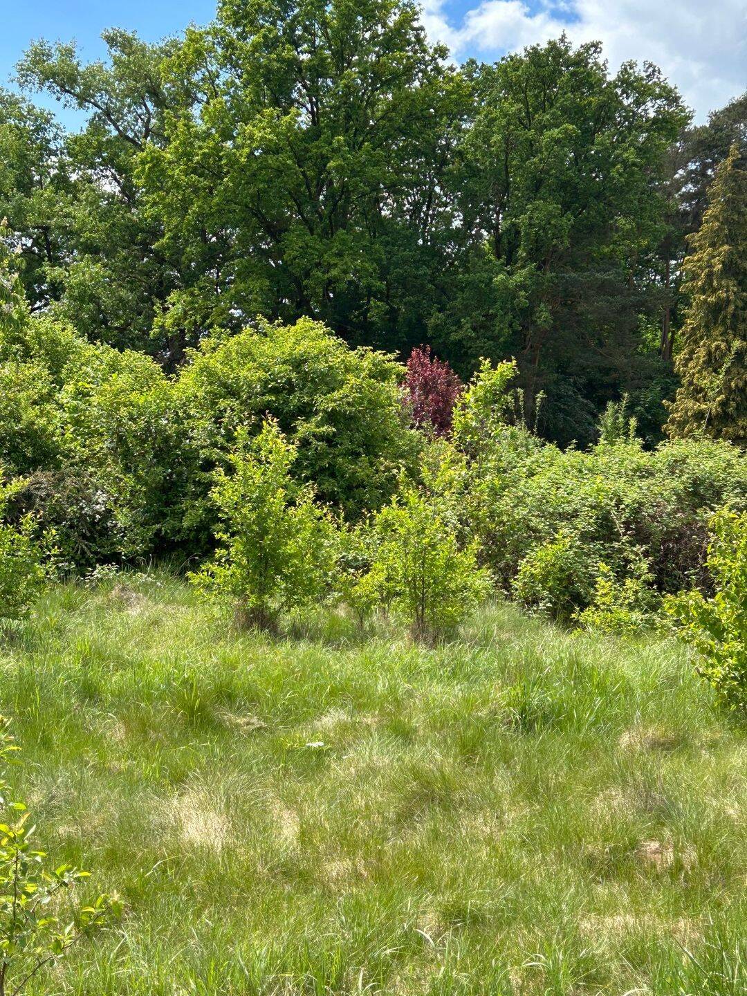 Baugrundstück in traumhafter Lage, 90522 Oberasbach