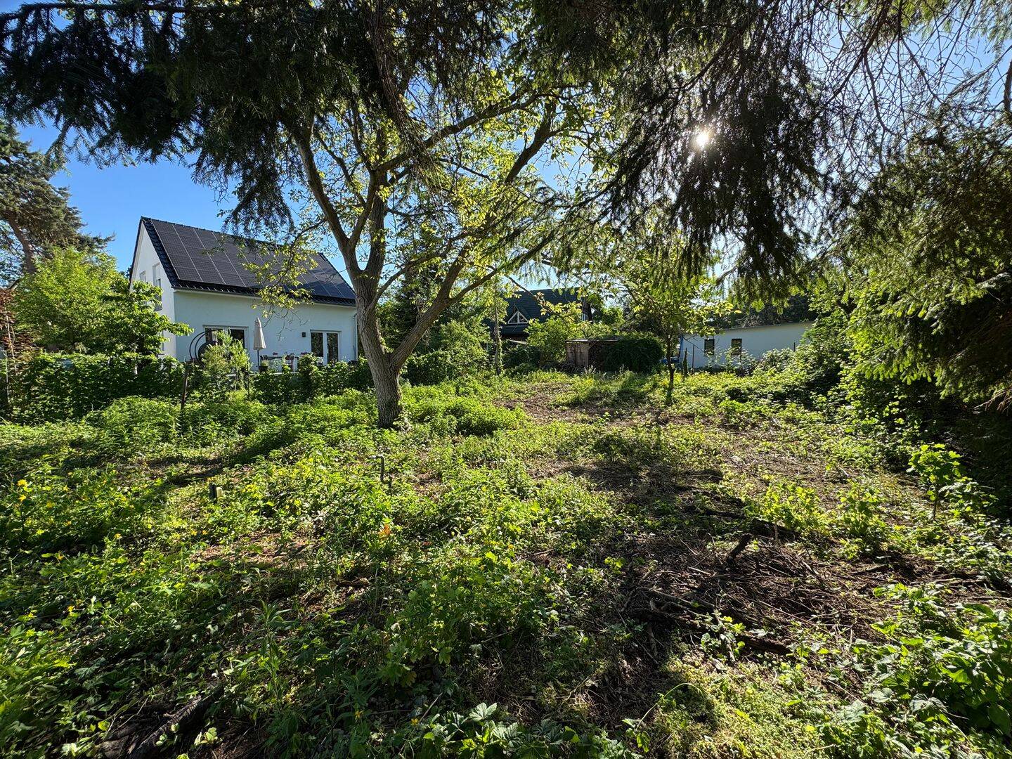 Privates Bauidyll: 523?m² Grundstück in geschützter Lage, 12683 Berlin (Marzahn-Hellersdorf Biesdorf Kleingartenanlage Biesenhorst 1)