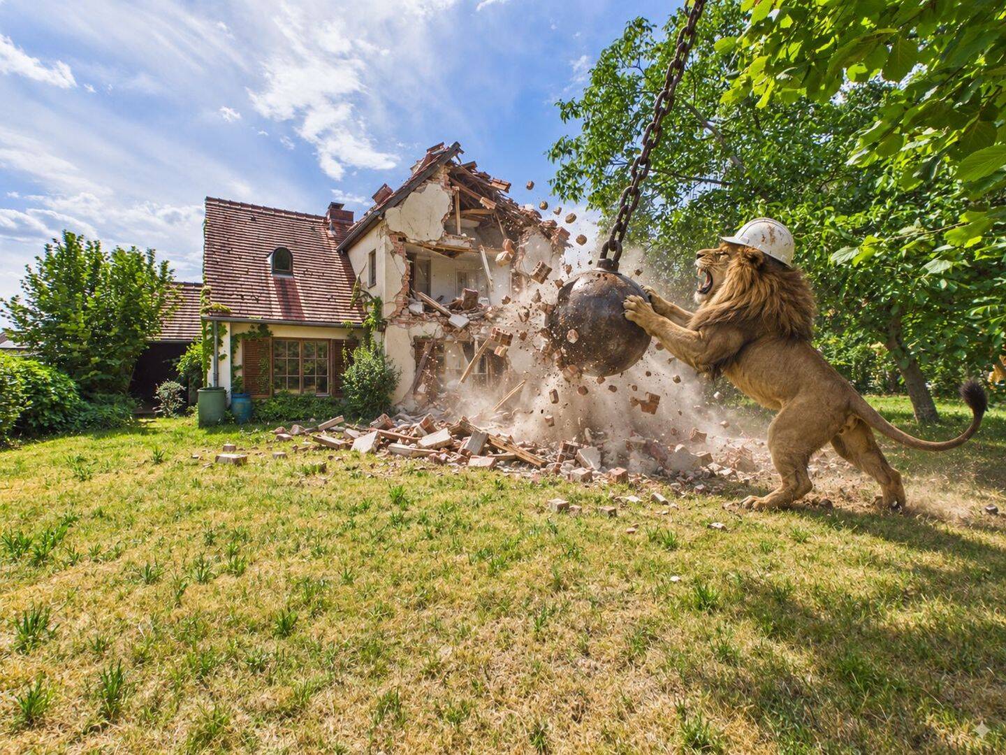 SCHWIND IMMOBILIEN – Traumgrundstück am Wald, 64367 Mühltal