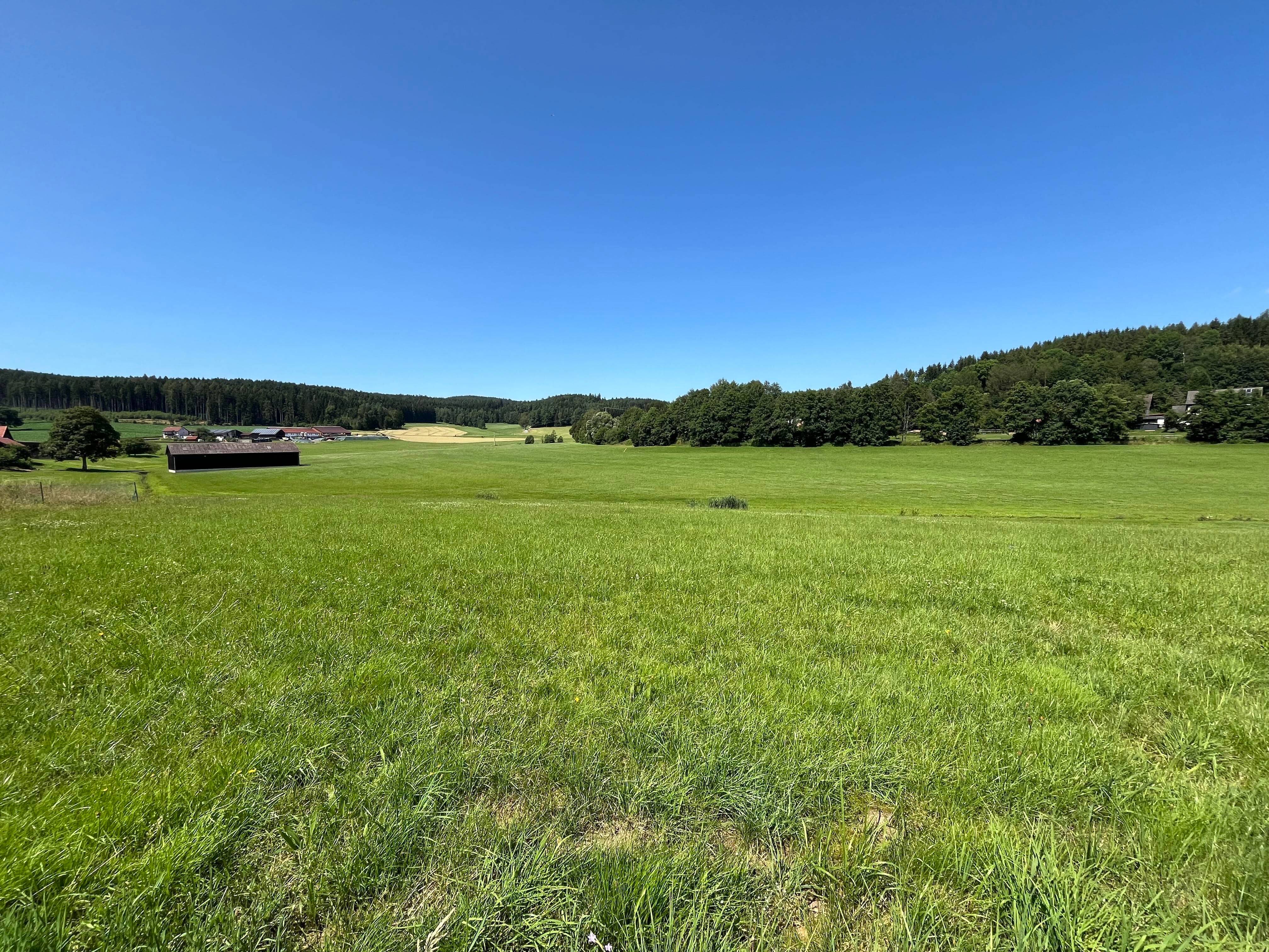 vielseitig nutzbares Grundstück umgeben von der Natur, 92726 Waidhaus