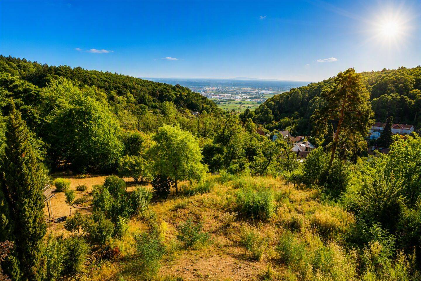 Neustadt-Hambach: Unverbaubares Baugrundstück in exklusiver Höhenlage mit Panoramablick!, 67434 Neustadt an der Weinstraße (Diedesfeld Hambach Neustadt-Stadt)