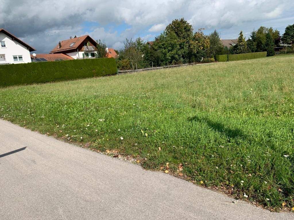 Sehr schöner Bauplatz für ein Doppelhaus in Rammingen, 86871 Rammingen