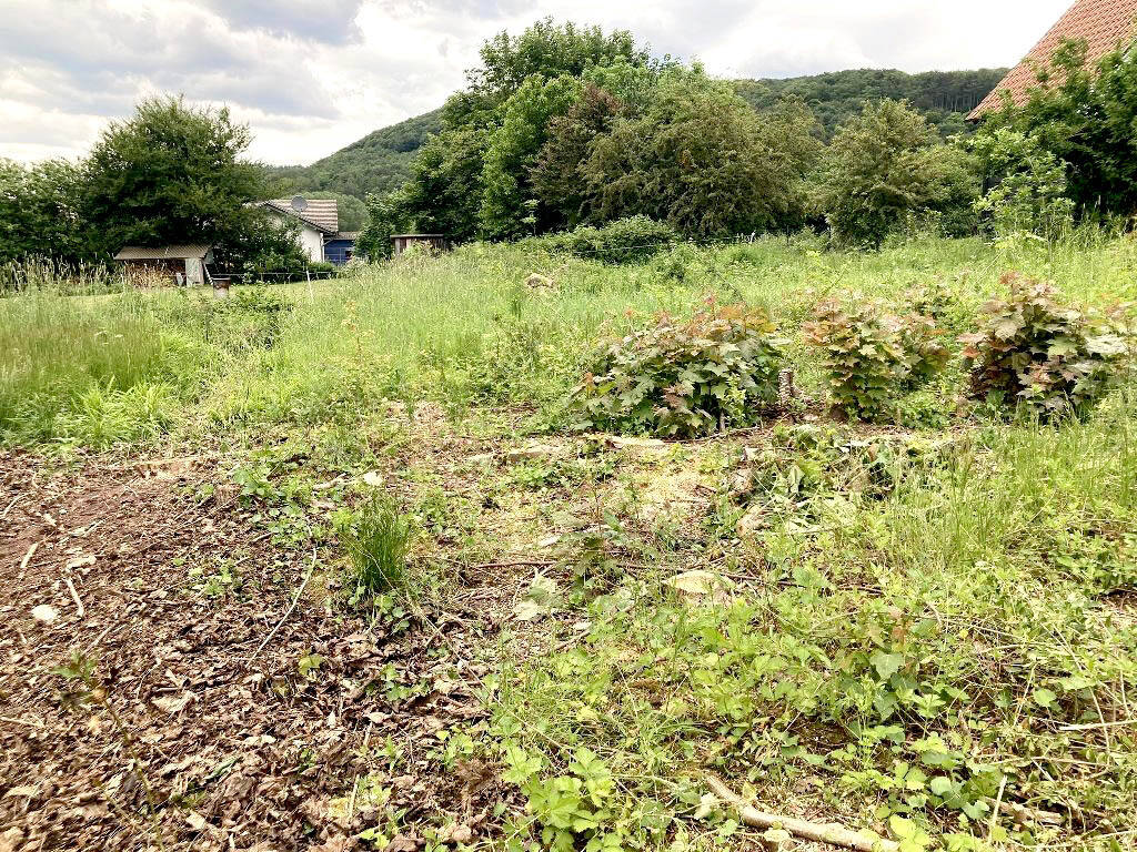 Großzügiges Baugrundstück mit vielen Investitionsmöglichkeiten und guter Verkehrsanbindung, 37127 Scheden