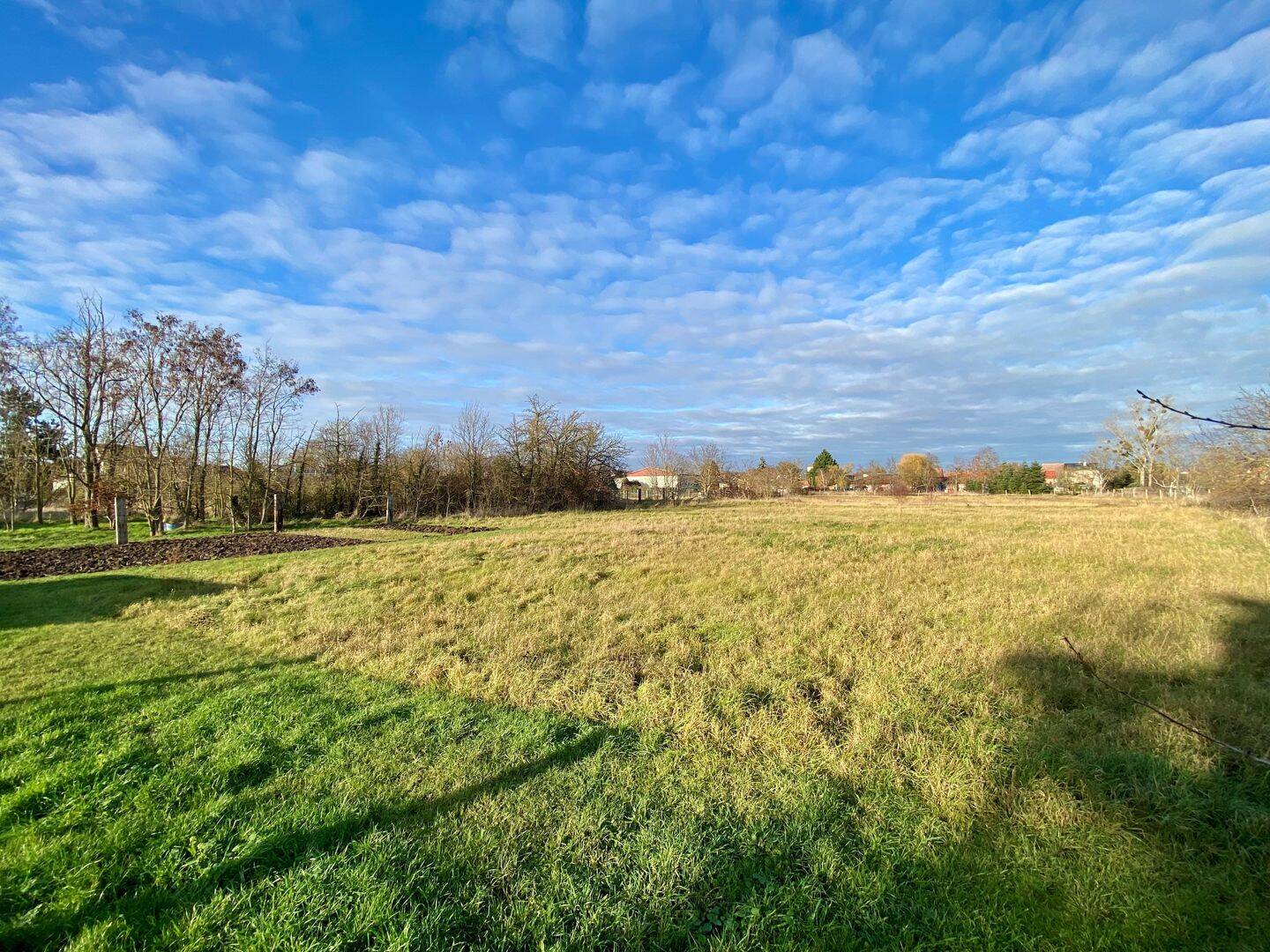 7.815 m² Baugrundstück mit Entwicklungspotenzial – teilbar in bis zu 10 Parzellen, 39240 Barby