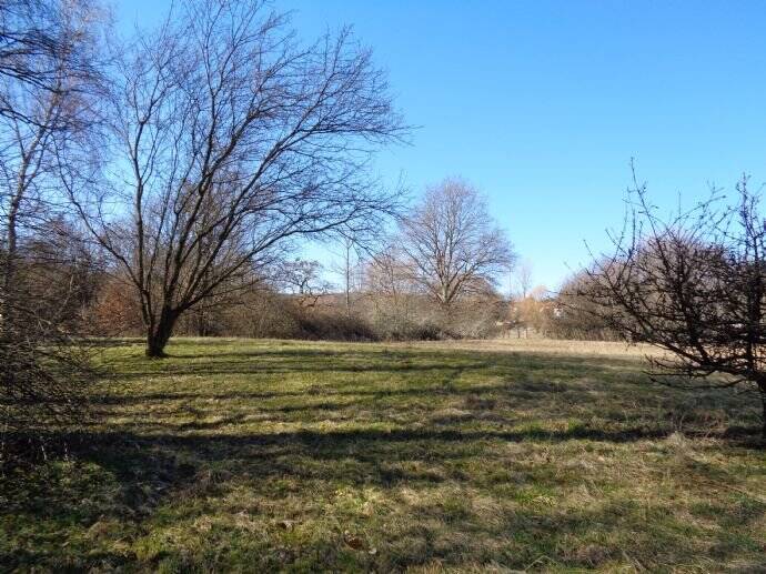 großes Grundstück in exponierter Lage direkt am Bostalsee (ca. 200 m), Gesamtfläche 5.251 m², ca. 1800 m² bebaubar, 66625 Nohfelden