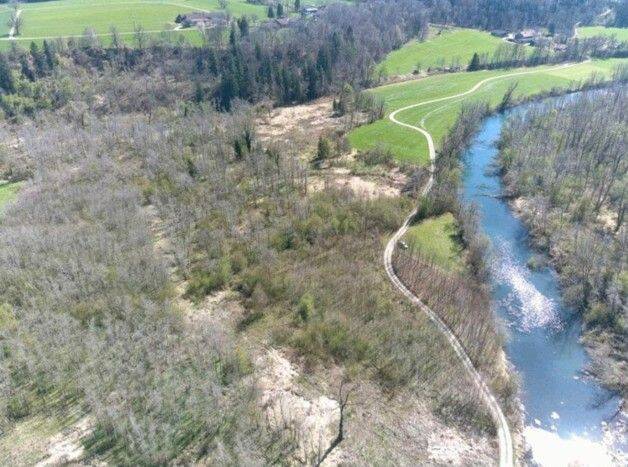 Auwald in der Vogtareuther Au, 83569 Vogtareuth
