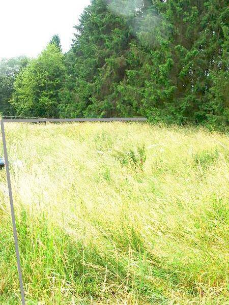 Lissendorf Baugrundstück Ecklage Erschlossen gerader Schnitt, 54587 Lissendorf