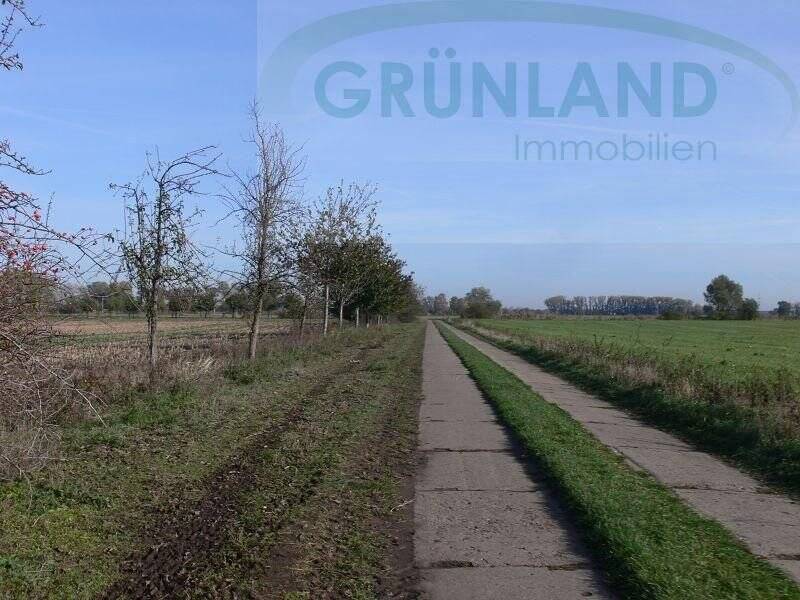 *Landwirtschaftliche Grünland-Flächen zu verkaufen!*, 16833 Fehrbellin