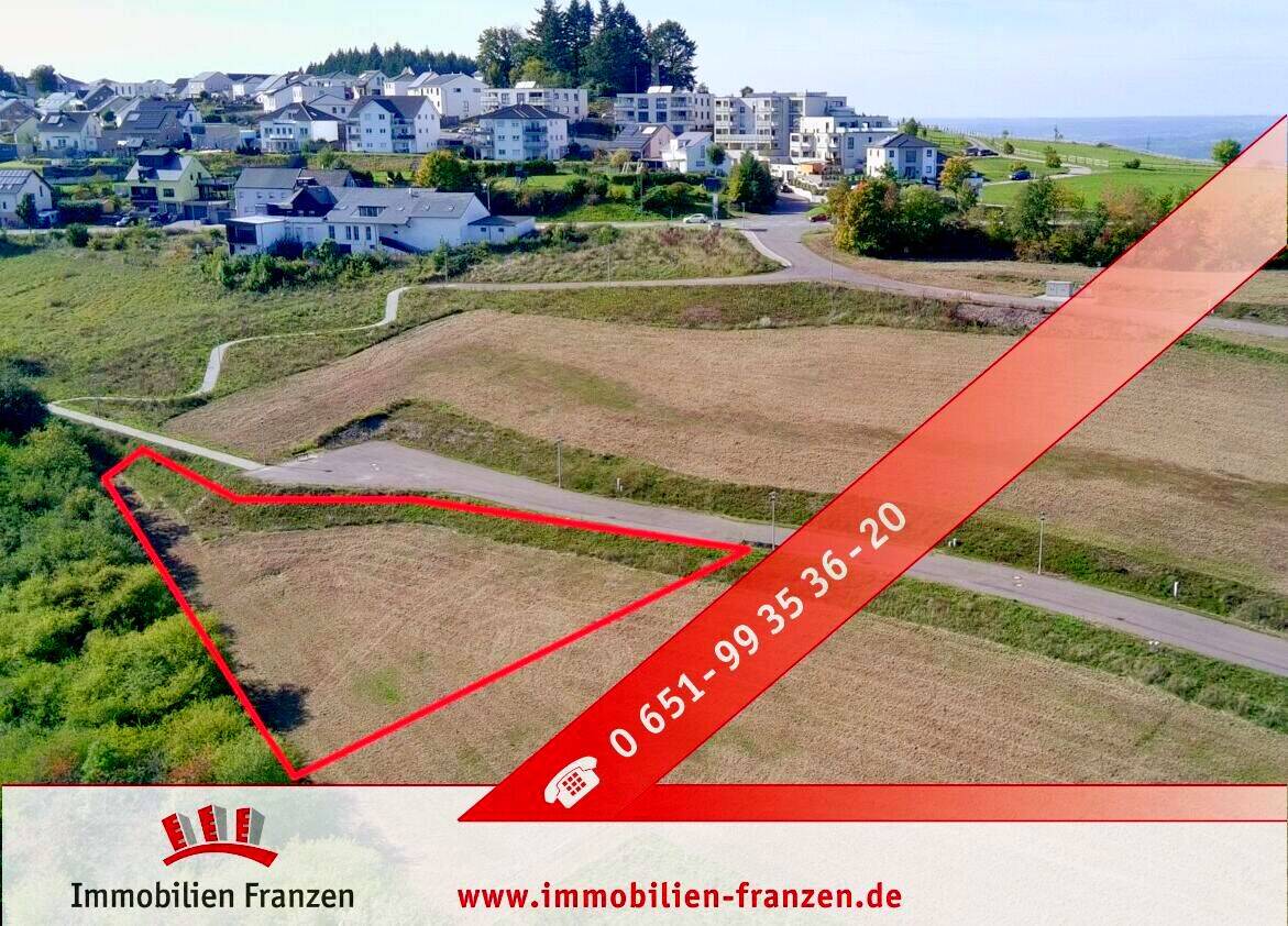 Exklusives Baugrundstück mit 2.104 m² für Mehrfamilienhäuser und individuelle Wohnkonzepte!, 54331 Pellingen