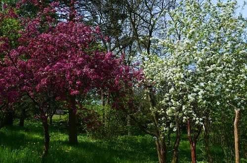 Grundstück für Schnellentschlossene!!!!!, 15370 Petershagen/Eggersdorf