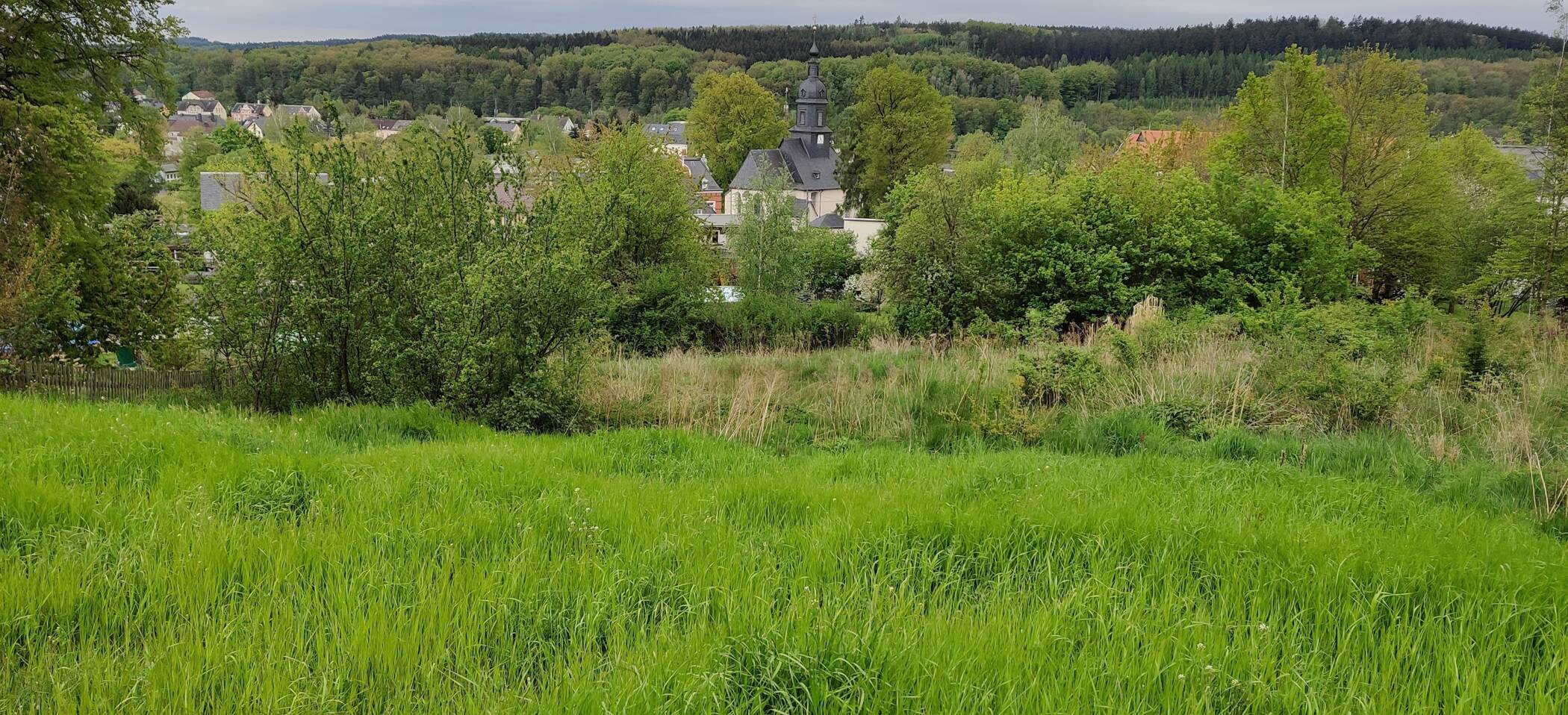 Flöha: Herrliches Land mit Weitblick und Südausrichtung für Bauherren mit gehobenem Anspruch, 9557 Flöha