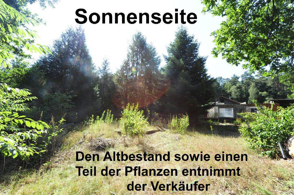 AM LANDSCHAFTSSCHUTZGEBIET*Kurze Wege*, 21244 Buchholz in der Nordheide