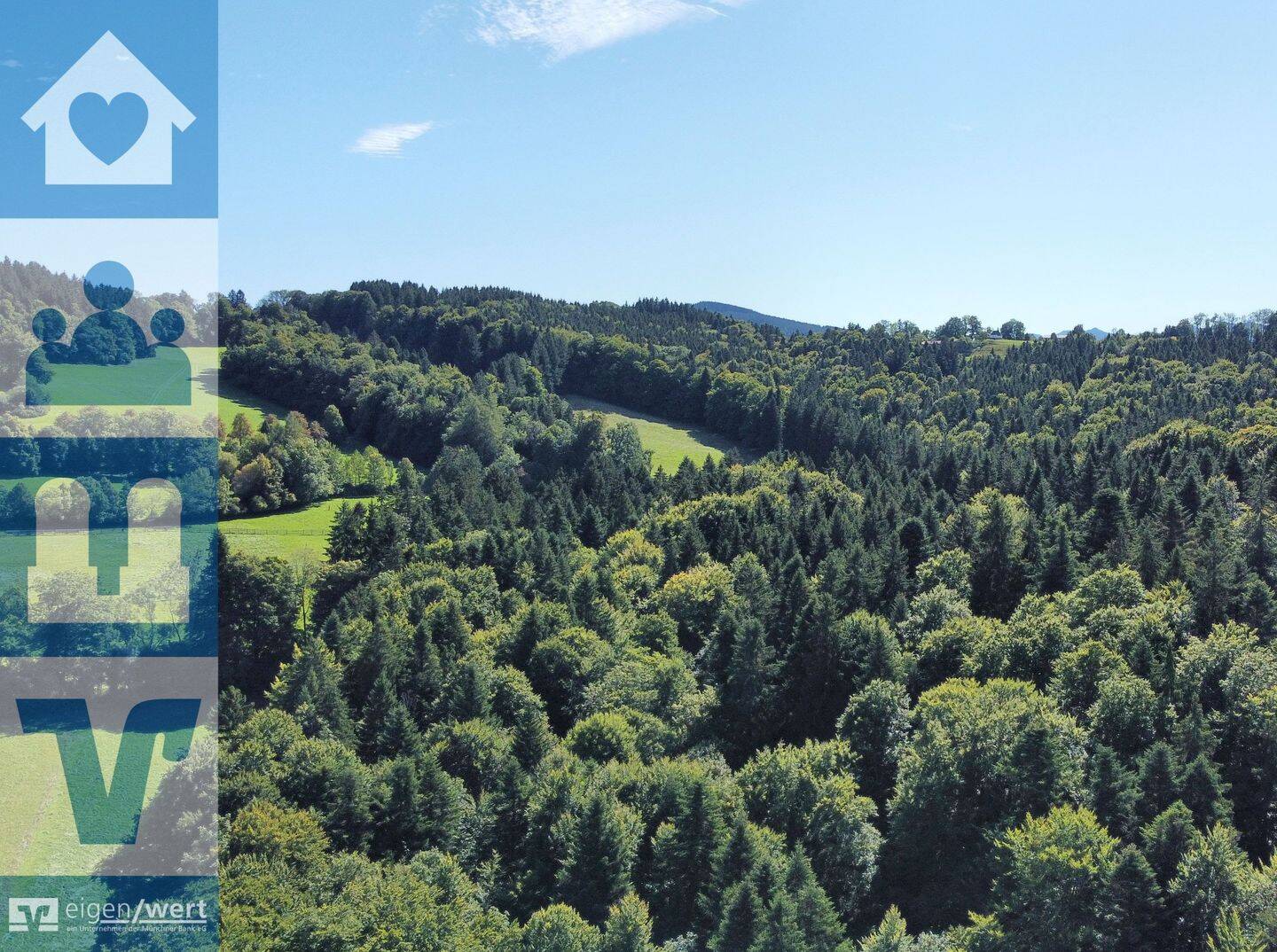 Über 9 Hektar Wald südlich von Miesbach, 83714 Miesbach