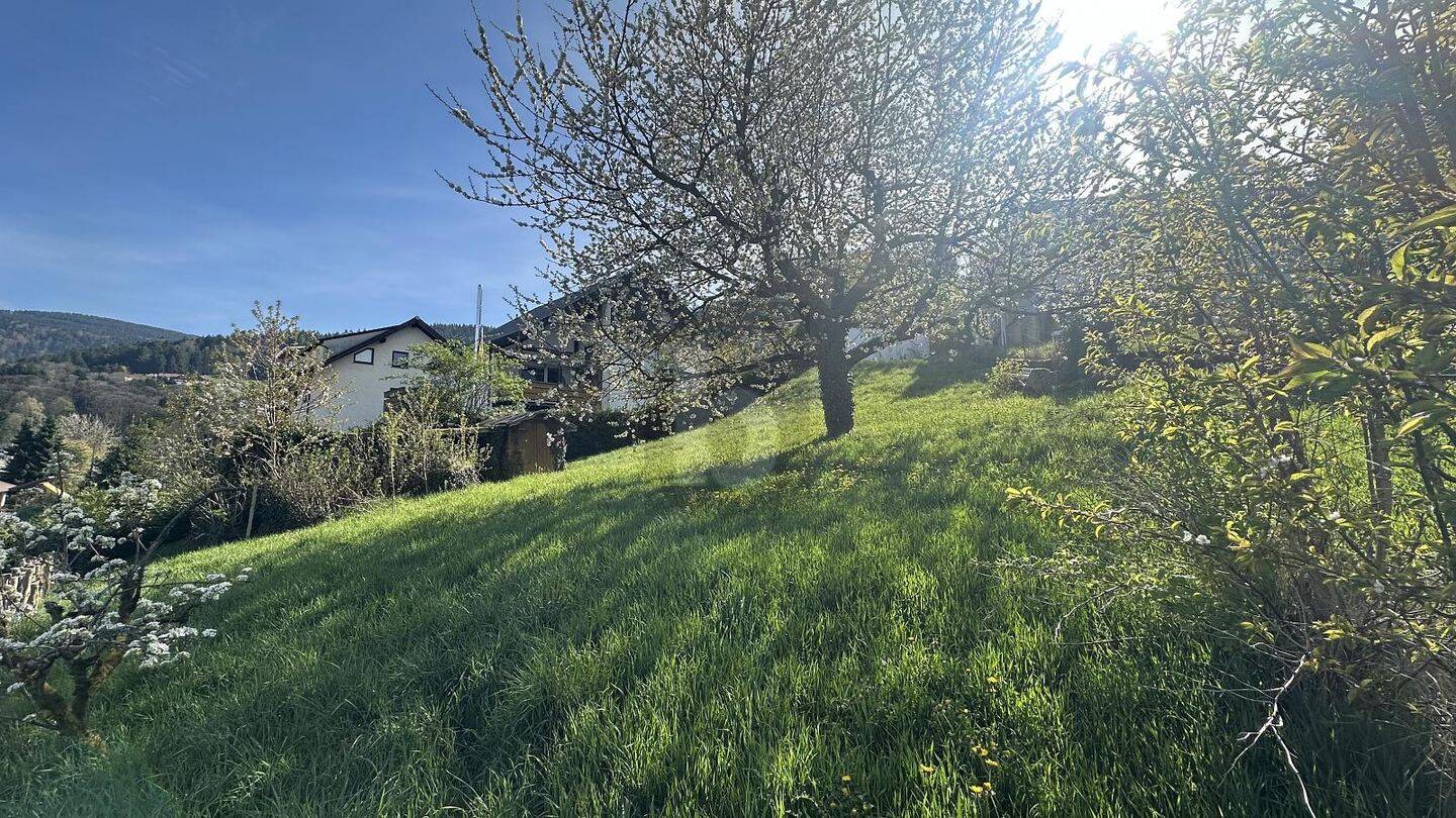 IDYLLE IN NATUR UND STADT, 77830 Bühlertal