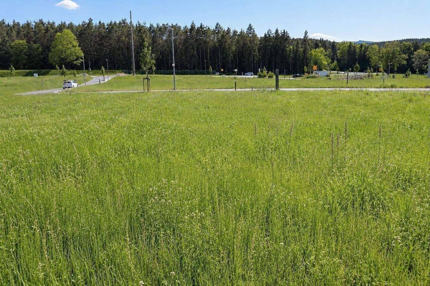 Sonniges Baugrundstück mit Blick ins Grüne – ruhige Lage, Neubaugebiet, Top Infrastruktur, 95473 Creußen