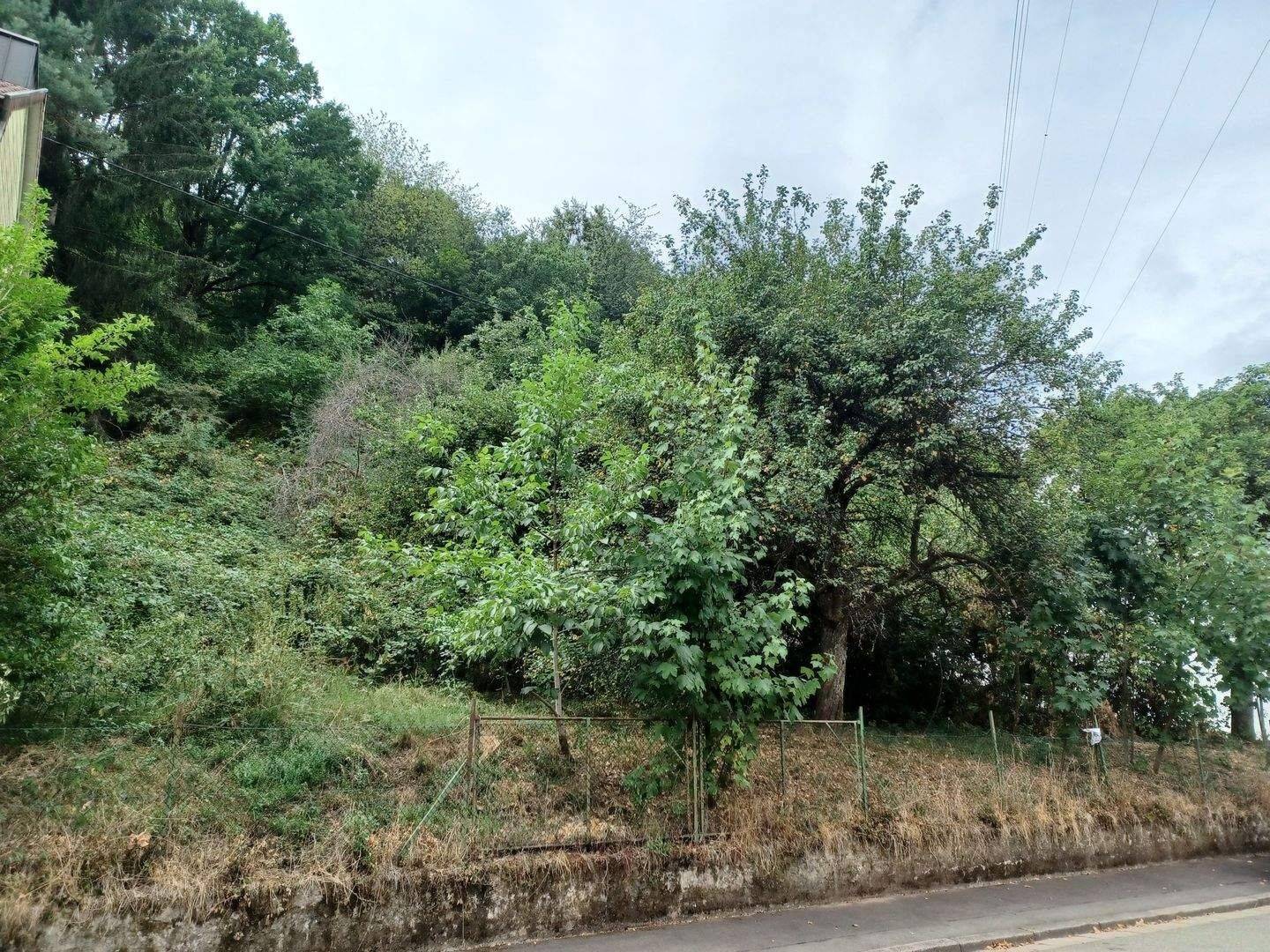 Beckingen – Baugrundstück HANGLAGE -ruhige Lage, 66701 Beckingen