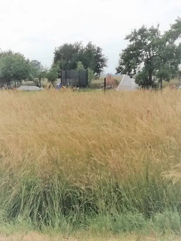 Großzügiges Grundstück am Stadtrand von Finsterwalde, 3238 Finsterwalde