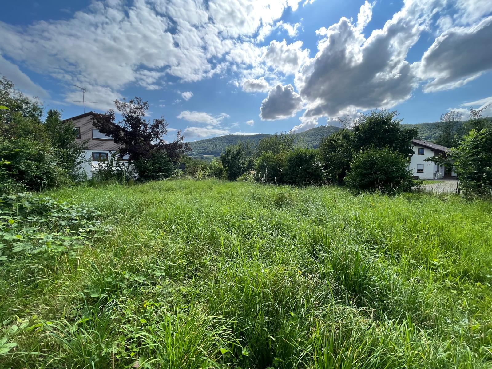Wunderschöner Bauplatz in naturnaher, sonniger und ruhiger Lage von Bissingen -Tec, 73266 Bissingen an der Teck