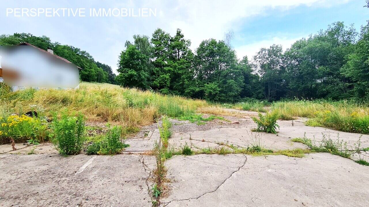 INVESTOREN aufgepasst – großes, ebenes Baugrundstück in Michelstadt Steinbach, 64720 Michelstadt