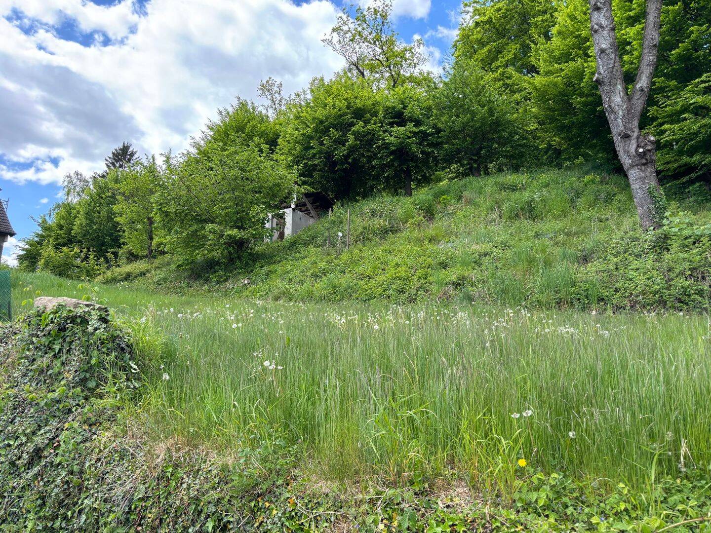 Baugrundstück mit positiver Bauvoranfrage in Berlebeck!, 32760 Detmold