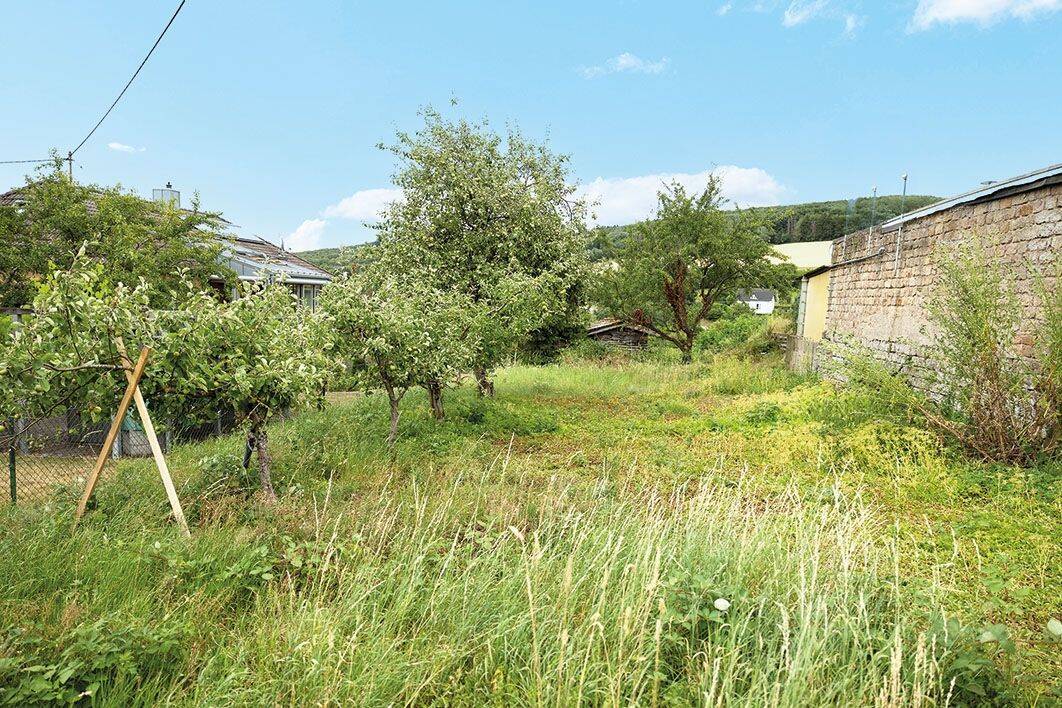 Nachauktion – Baugrundstück mit gültigem Bauvorbescheid, 66869 Kusel