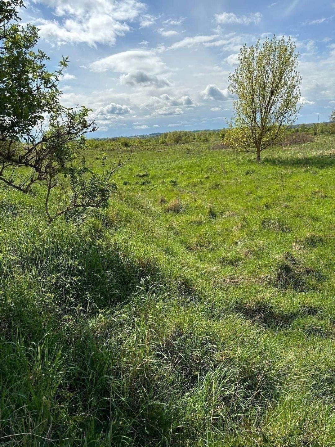 Großes Grundstück nahe eines Wohngebietes an der Lübschen Burg, 23968 Wismar