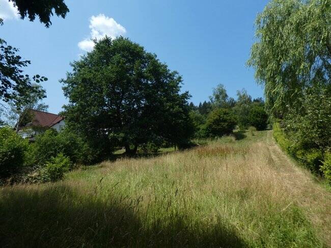 Traumhaftes Hanggrundstück: Ruhiges Wohnen in idyllischer Hanglage!, 63628 Bad Soden-Salmünster