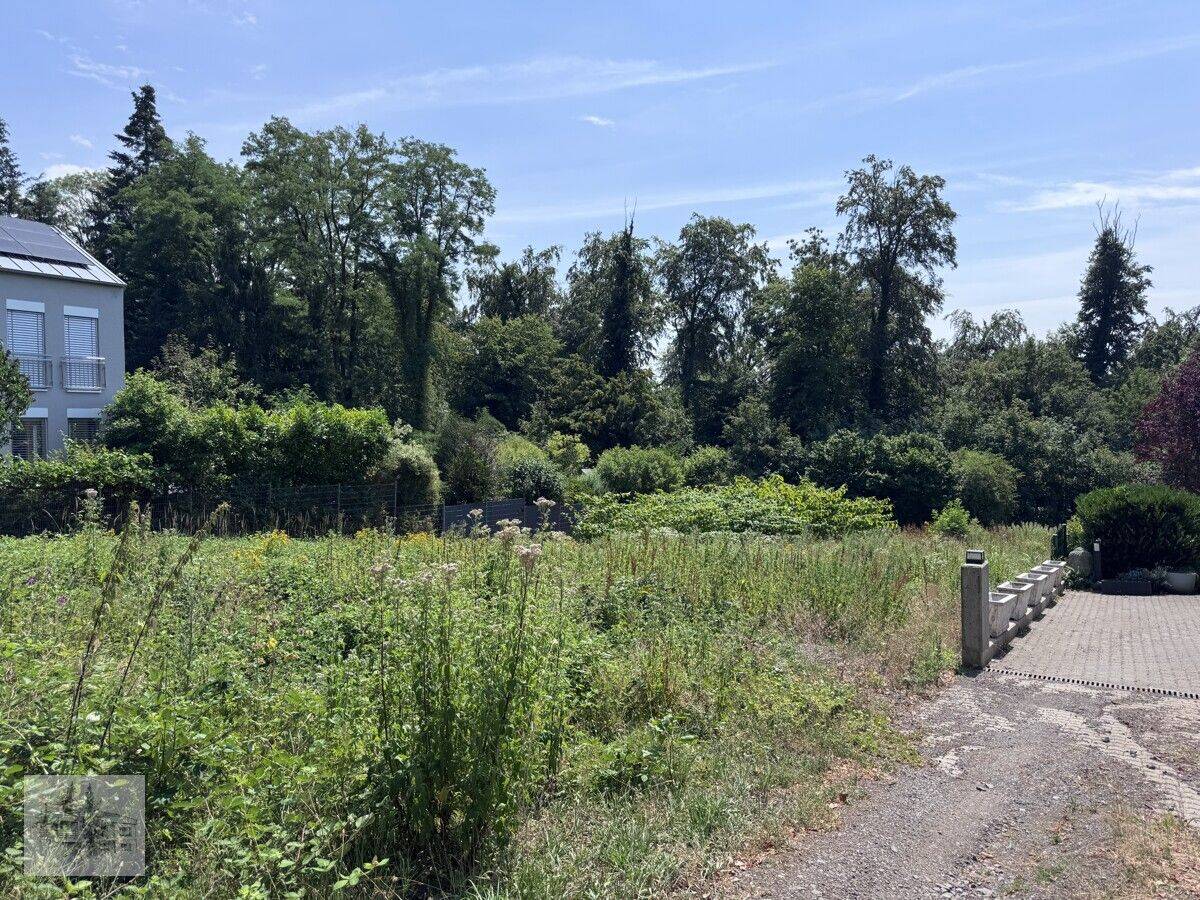 Südgrundstück für Liebhaber – Scheidter Berg, 66133 Saarbrücken