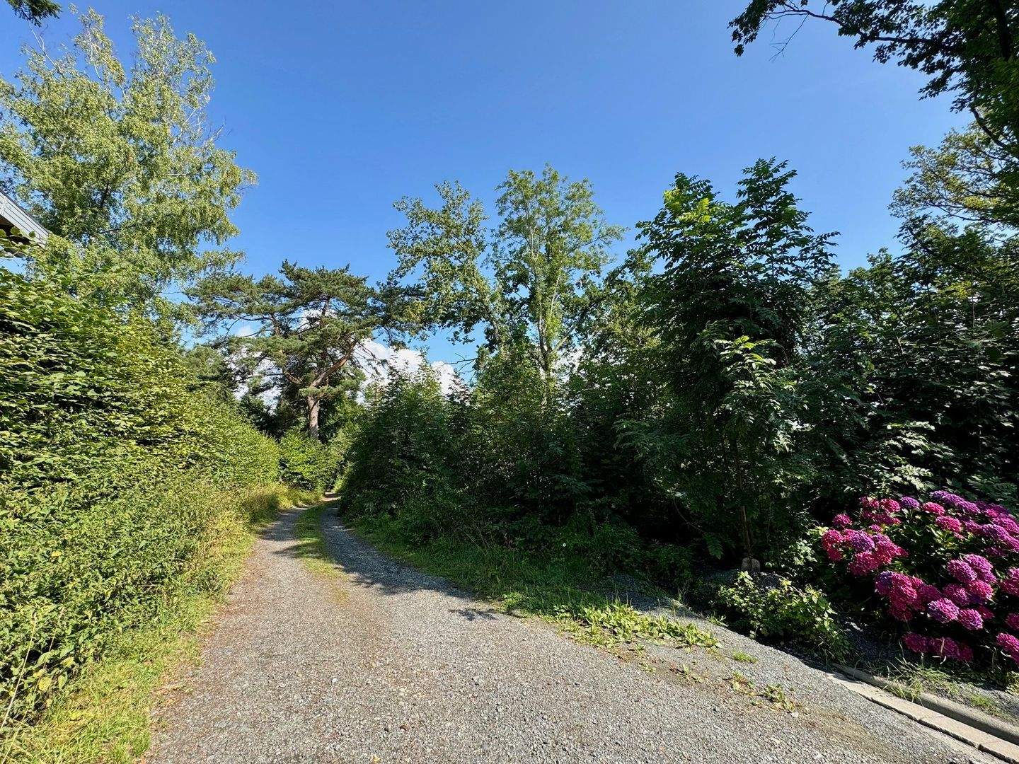 Baugrundstück am Kirschenwäldchen – Hanglage, bewaldet, mit Baugenehmigung, 35578 Wetzlar