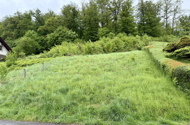 **Grundstück in ruhiger Hanglage**, 37431 Bad Lauterberg im Harz