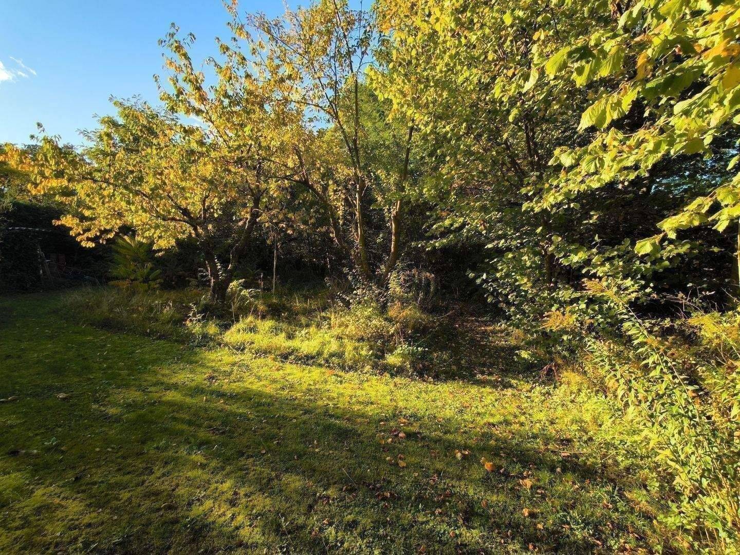 Baugrundstück 1.104 m² mit Kleinhaus (36 m²) oder neu bebaubar in Melchow, 16230 Melchow