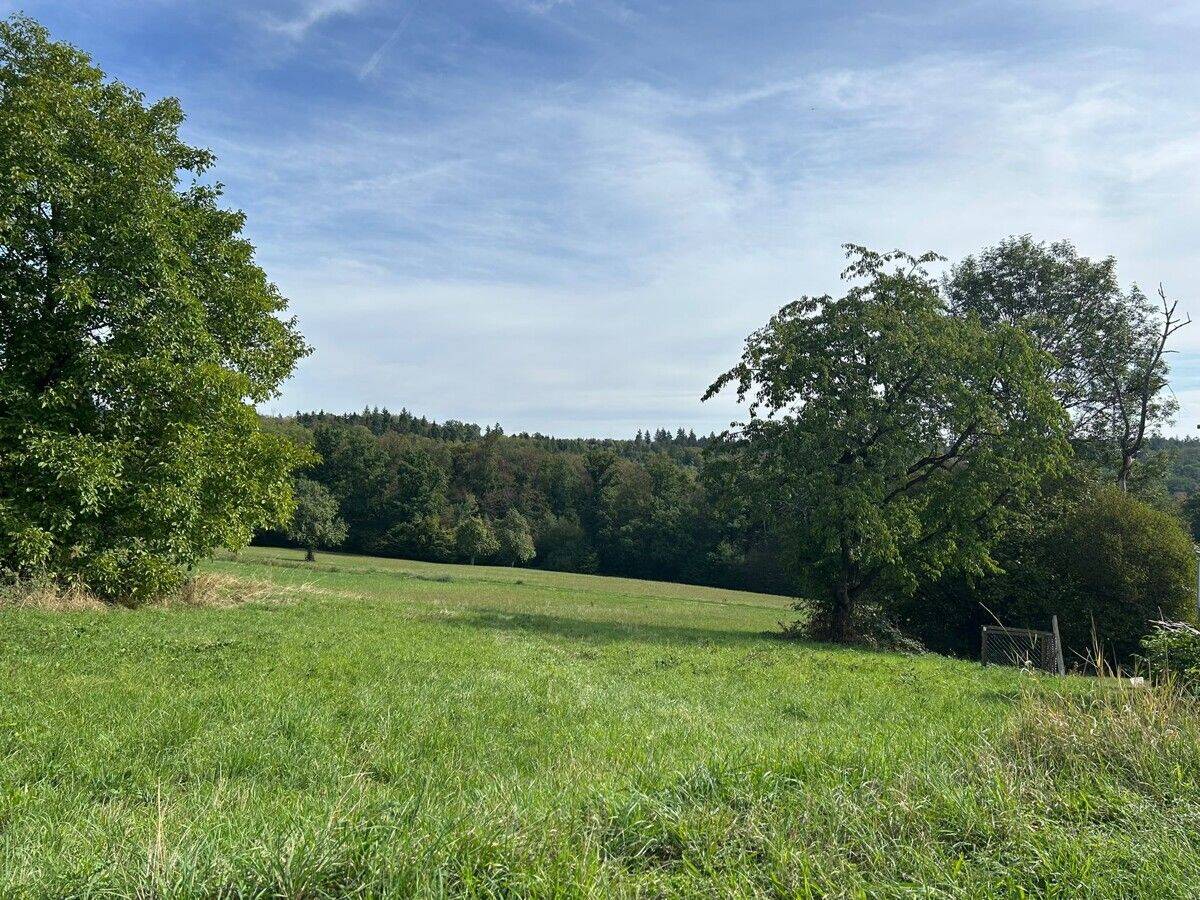 XXL-Garten-Traum in Lichtenwald-Thomashardt  Baugrund mit großem Freizeit-Grundstück, 73669 Lichtenwald
