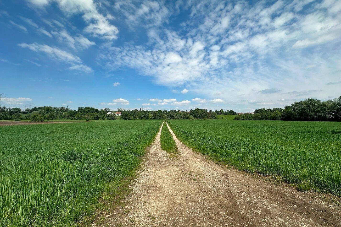 Landwirtschaftliches Grundstück am Ortsrand von Günding (Gde. Bergkirchen) zu verkaufen!, 85232 Bergkirchen