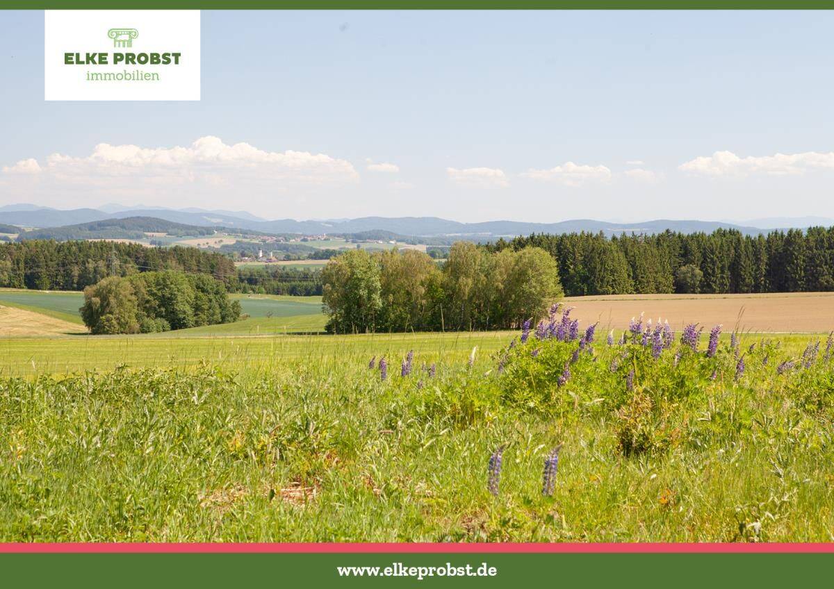 Baugrund in Alleinlage mit einem Traum-Ausblick, 92526 Oberviechtach