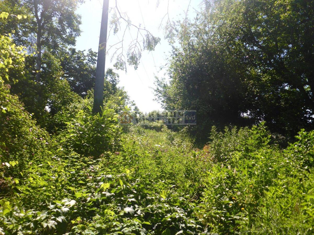 Idyllisch gelegenes Grundstück mit Abbruchhaus in der Gemeinde Riekofen, 93104 Riekofen