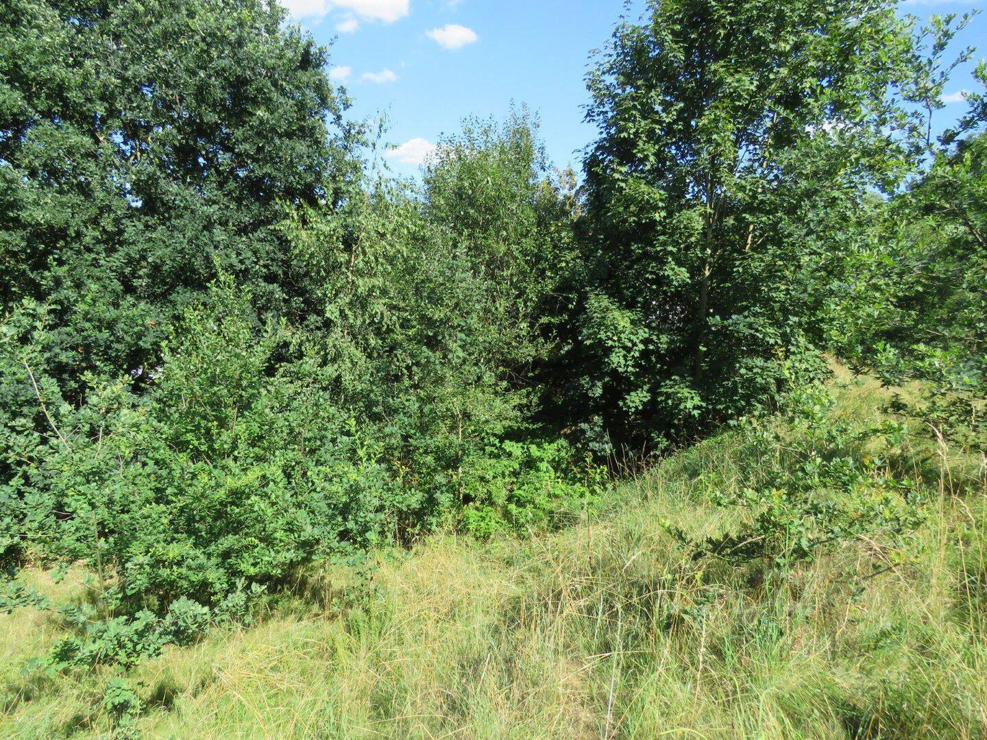 2 Baugrundstücke in sehr ruhiger und idyllischer Stadtrandlage auf einer Anhöhe mit Fernsicht, 94234 Viechtach