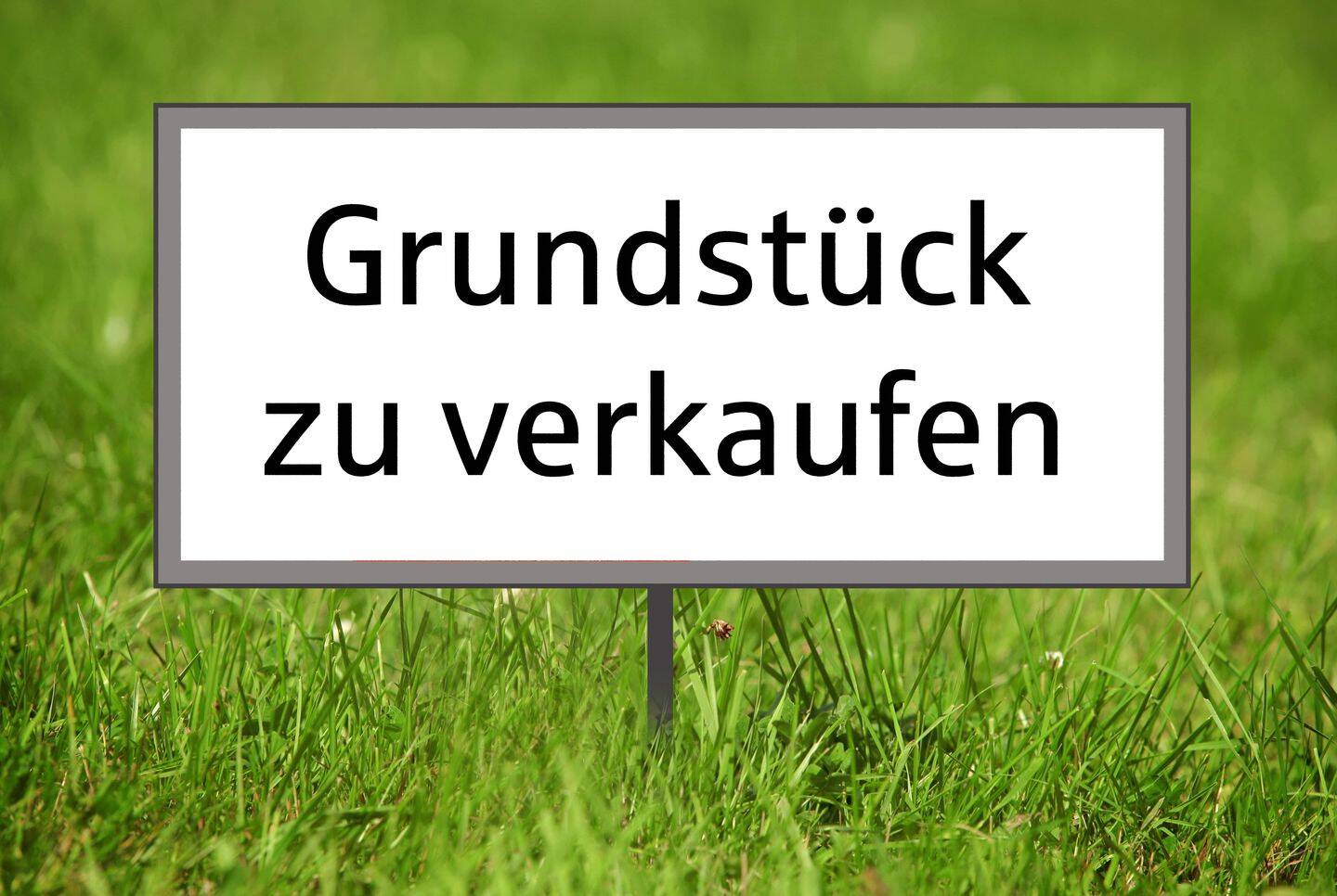 Platz für Neues! – Grundstück mit Altbestand in Ingolstadt-Nordost, 85055 Ingolstadt