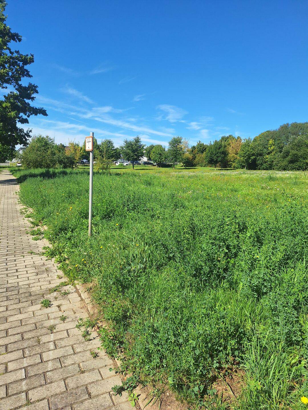Großzügiges Grundstück zur gewerblichen Nutzung!, 7552 Gera (Bieblach-Ost Langenberg Roschütz Stublach)