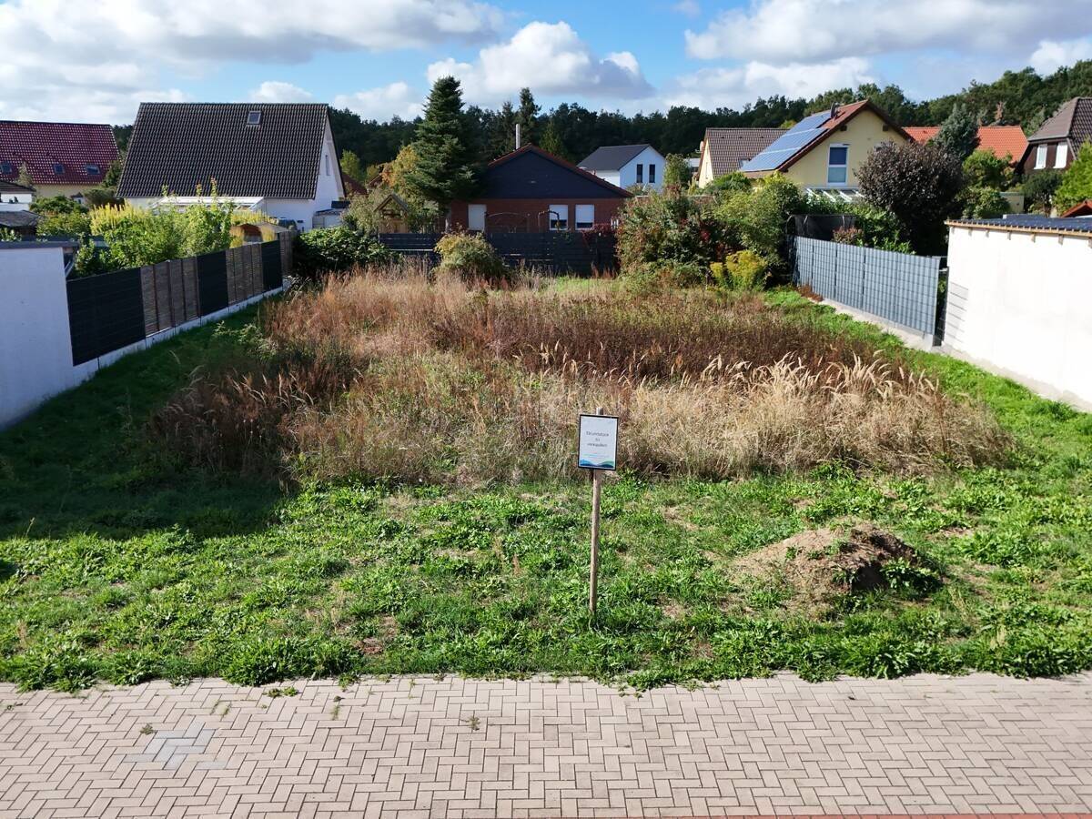 Baulücke im Grünen statt Neubaugebiet mit Baulärm 535 m² in ruhiger Ortsrandlage in Burgkemnitz, 6774 Muldestausee
