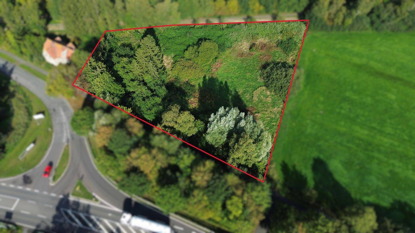 Großzügiges Grundstück mit 5.343 m² in Großenmeer, 26939 Ovelgönne