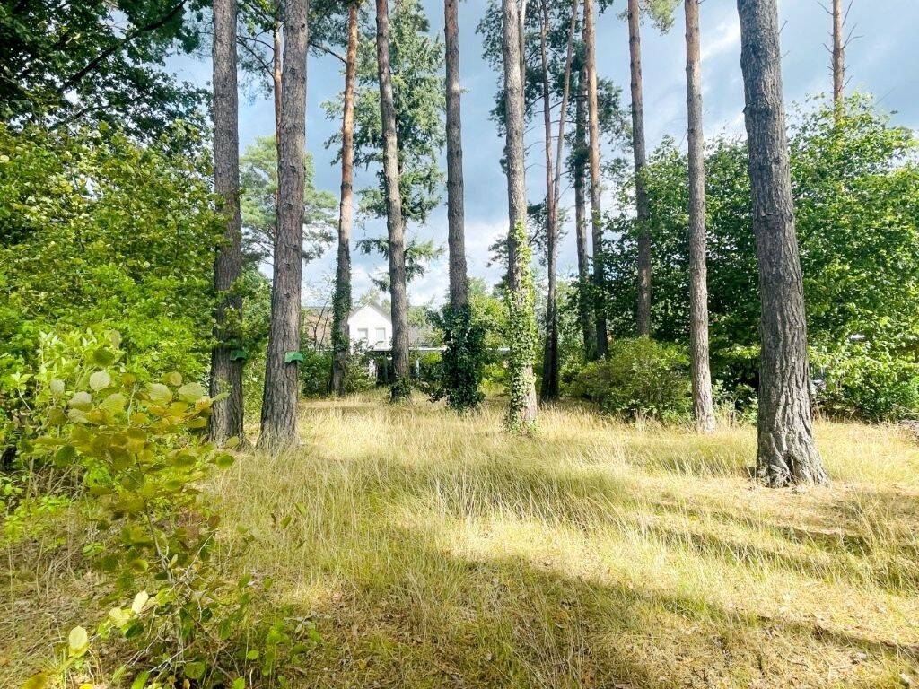 Großzügiges Baugrundstück in Hohen Neuendorf OT Bergfelde, 16562 Hohen Neuendorf